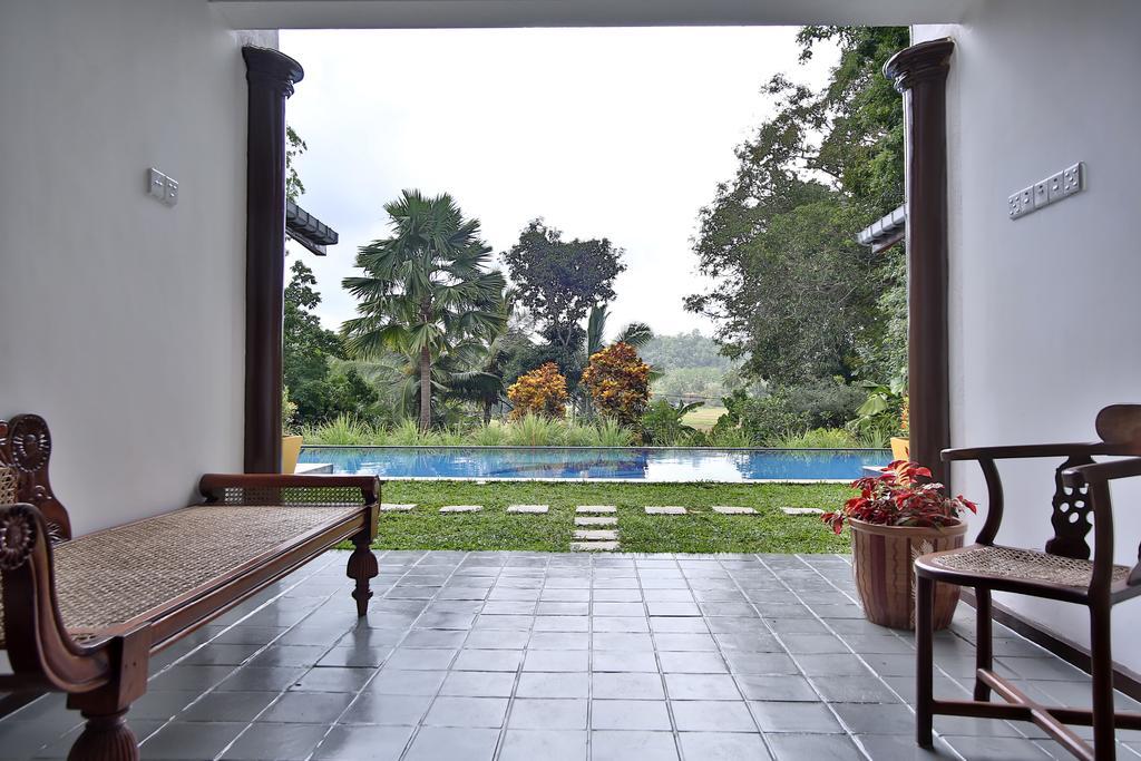 Lazy Lizard Hotel Galle Exterior photo